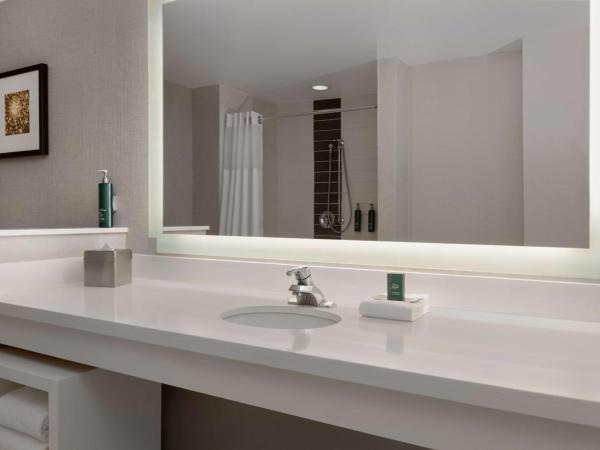 DoubleTree by Hilton Las Vegas East Flamingo : photo 6 de la chambre chambre lit king-size avec douche accessible en fauteuil roulant - adaptée aux personnes à mobilité réduite/malentendantes