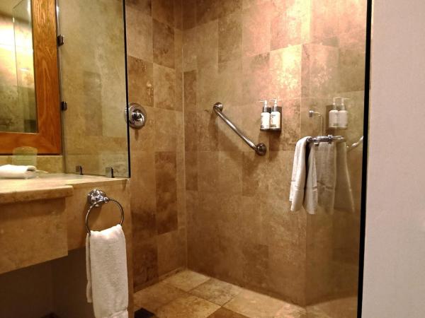 Holiday Inn Monterrey Valle, an IHG Hotel : photo 3 de la chambre chambre double standard avec 2 lits doubles