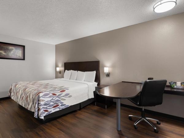 Red Roof Inn & Suites Savannah Airport : photo 1 de la chambre chambre lit king-size supérieure - non-fumeurs