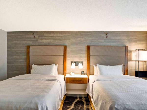 Homewood Suites by Hilton Chicago Downtown : photo 1 de la chambre suite 1 chambre avec 2 lits queen-size et canapé-lit