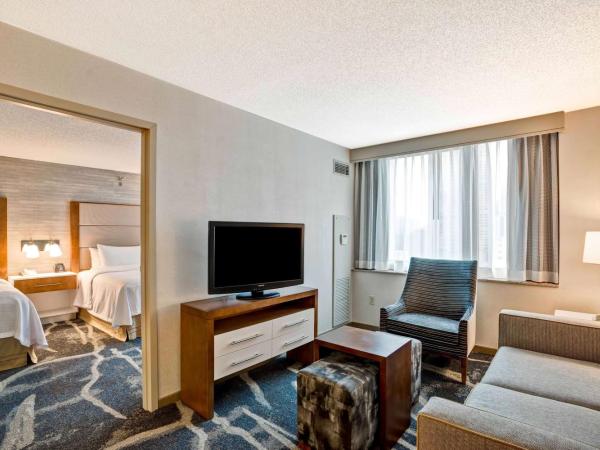 Homewood Suites by Hilton Chicago Downtown : photo 3 de la chambre suite lit queen-size 1 chambre