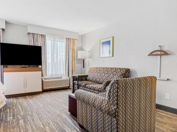 Hampton Inn & Suites Colorado Springs-Air Force Academy/I-25 North : photo 7 de la chambre suite studio lit king-size avec canapé-lit – non-fumeurs