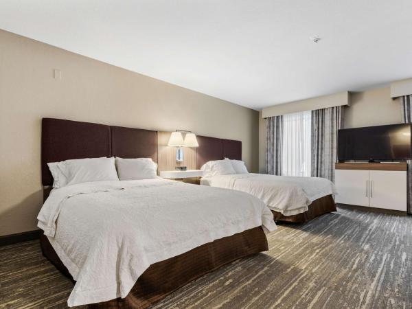 Hampton Inn & Suites Colorado Springs-Air Force Academy/I-25 North : photo 2 de la chambre queen studio suite with two queen beds and sofa bed - non-smoking