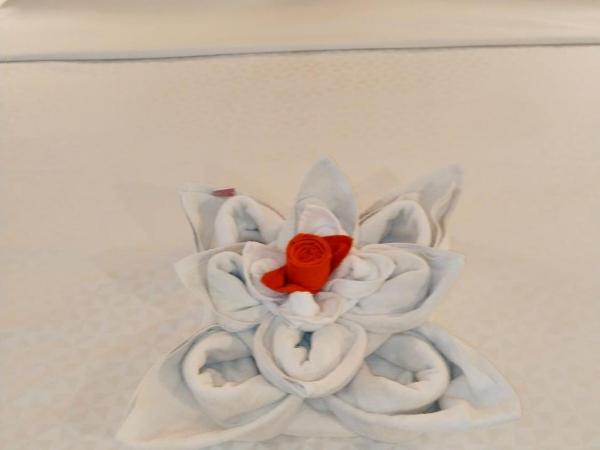 Four Points by Sheraton Ahmedabad : photo 3 de la chambre chambre lits jumeaux supérieure