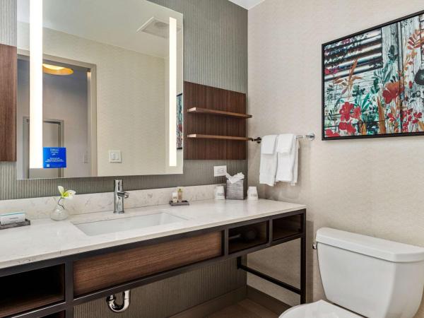 Hilton Garden Inn New Orleans French Quarter/CBD : photo 8 de la chambre chambre lit king-size deluxe - vue sur ville