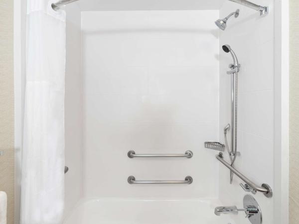 Hilton Garden Inn New Orleans French Quarter/CBD : photo 4 de la chambre chambre lit king-size avec baignoire accessible aux personnes à mobilité réduite - adaptée aux personnes à mobilité réduite