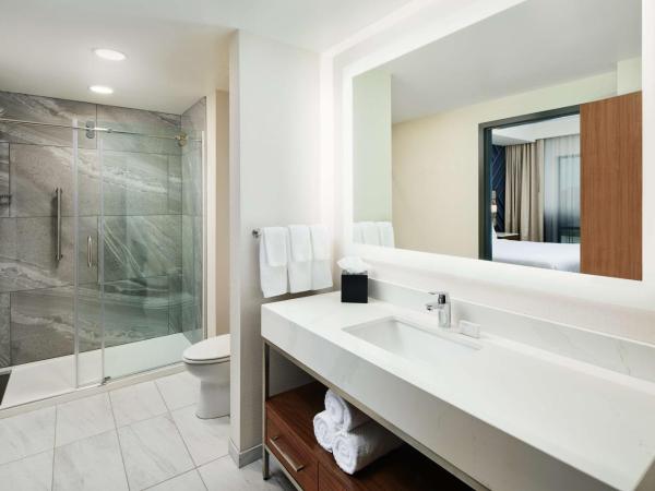 Embassy Suites By Hilton Atlanta Airport North : photo 4 de la chambre suite lit king-size 2 chambres