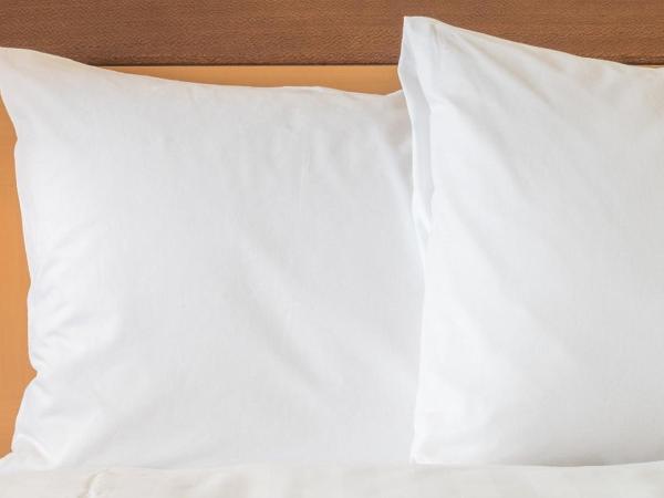 Holiday Inn Louisville Downtown , an IHG Hotel : photo 1 de la chambre chambre standard