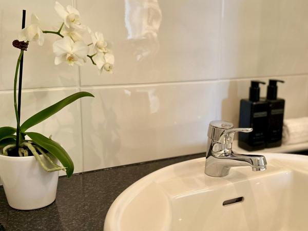 Emerald Inn on Takapuna Beach : photo 4 de la chambre appartement - vue sur mer