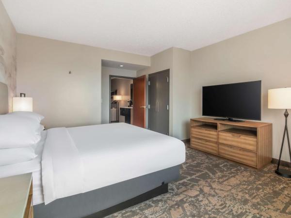 Embassy Suites by Hilton Albuquerque : photo 4 de la chambre suite lit king-size – non-fumeurs