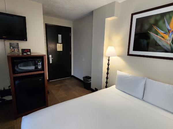 Stay Hotel Waikiki : photo 7 de la chambre chambre lit queen-size boutique