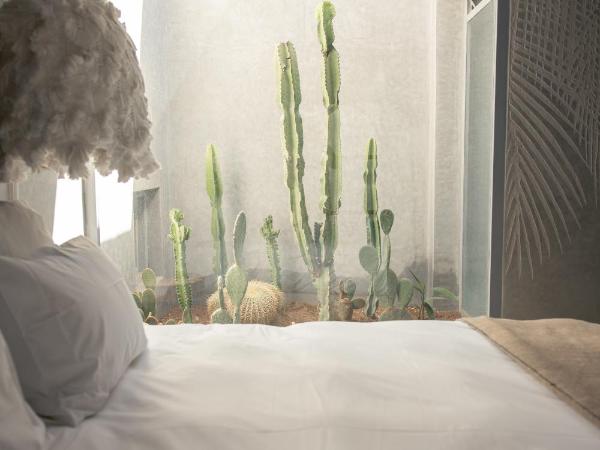 Les Palmiers Boutique Hôtel & Spa : photo 3 de la chambre chambre double supérieure