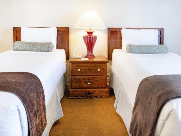 The Baroness Hotel : photo 1 de la chambre deluxe twin studio with two twin beds (no air-conditioning)