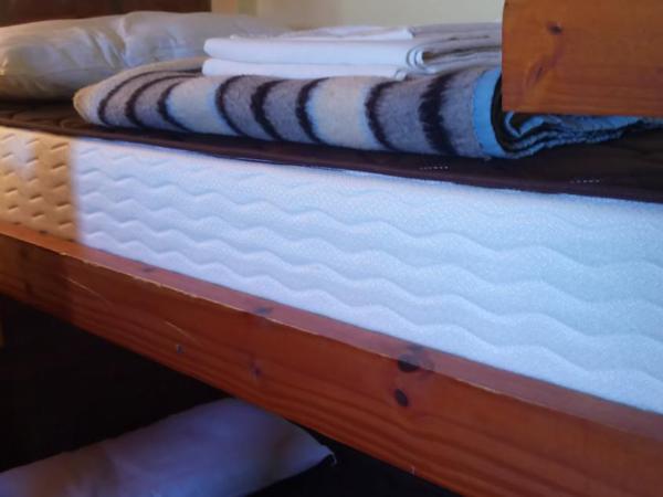 Hostel Aves del Lago : photo 2 de la chambre lit simple dans dortoir de 4 lits