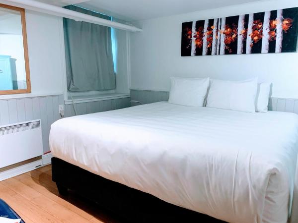 Manoir Sainte Genevieve : photo 4 de la chambre chambre lit king-size Économique - sous-sol