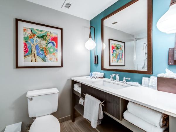 Hotel Indigo Atlanta Vinings, an IHG Hotel : photo 9 de la chambre chambre standard