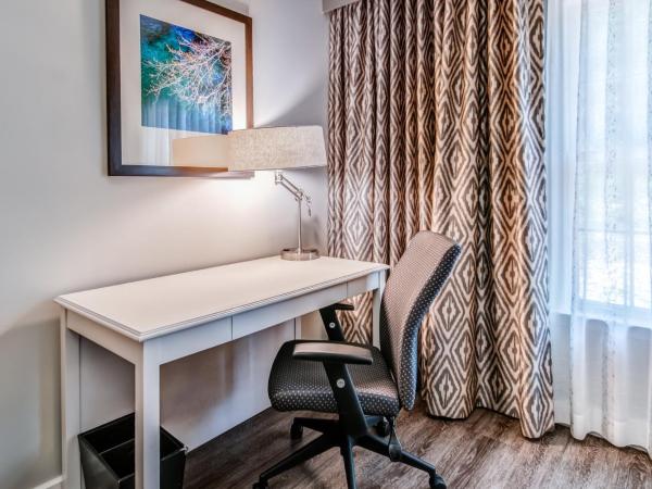 Hotel Indigo Atlanta Vinings, an IHG Hotel : photo 4 de la chambre chambre lit king-size standard avec douche accessible en fauteuil roulant - adaptée aux personnes à mobilité réduite