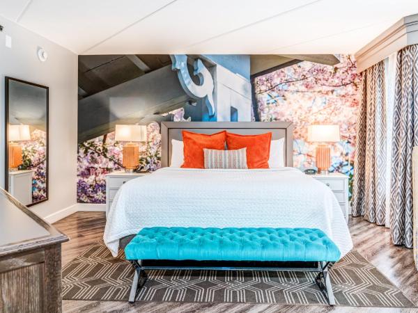 Hotel Indigo Atlanta Vinings, an IHG Hotel : photo 8 de la chambre chambre lit king-size avec douche accessible en fauteuil roulant - adaptée aux personnes à mobilité réduite