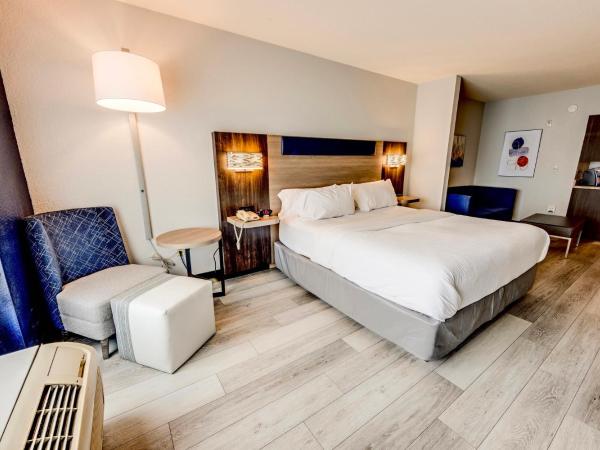 Holiday Inn Express Hotel & Suites Ohio State University- OSU Medical Center, an IHG Hotel : photo 8 de la chambre suite lit king-size