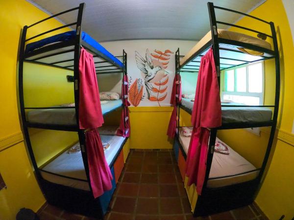 Solar Hostel Búzios : photo 3 de la chambre lit superposé dans dortoir pour femmes