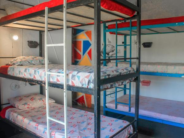 Solar Hostel Búzios : photo 4 de la chambre bed in 14-bed mixed dormitory room 