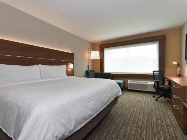 Holiday Inn Express & Suites Charlotte - Ballantyne, an IHG Hotel : photo 1 de la chambre chambre lit king-size standard