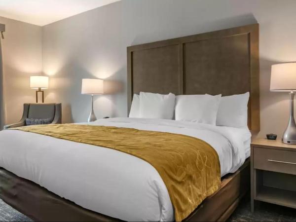 Comfort Inn & Suites Jacksonville - Orange Park Near Naval Air Station : photo 1 de la chambre suite lit king-size - non-fumeurs