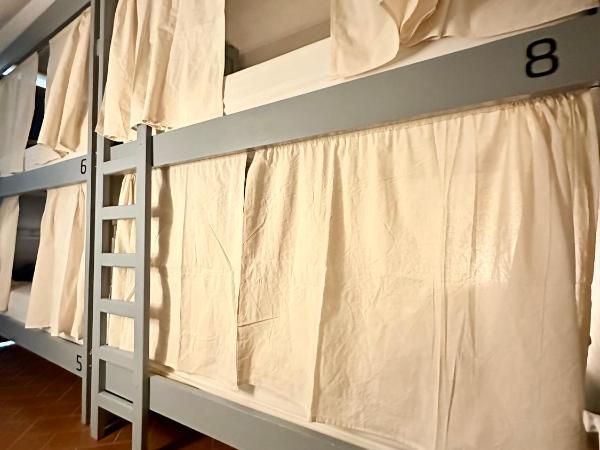 Gorilla Hostel : photo 2 de la chambre lit superposé dans dortoir pour femmes 