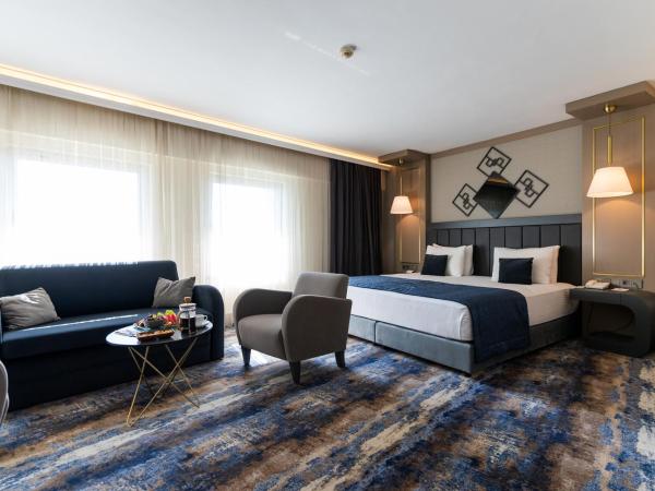 Ankara Plaza Hotel : photo 4 de la chambre chambre deluxe