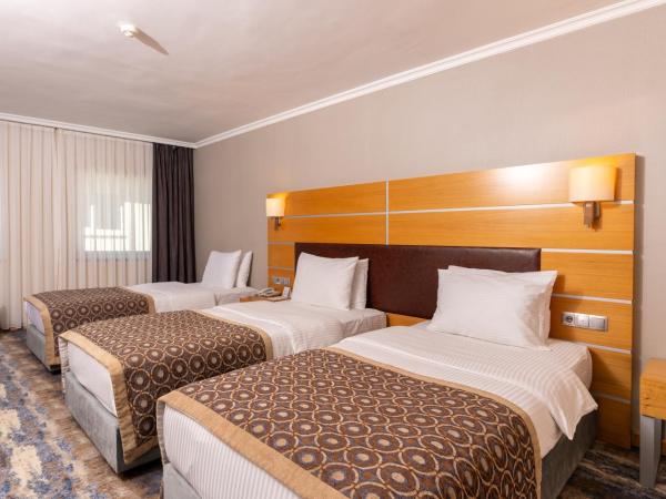 Ankara Plaza Hotel : photo 4 de la chambre chambre triple