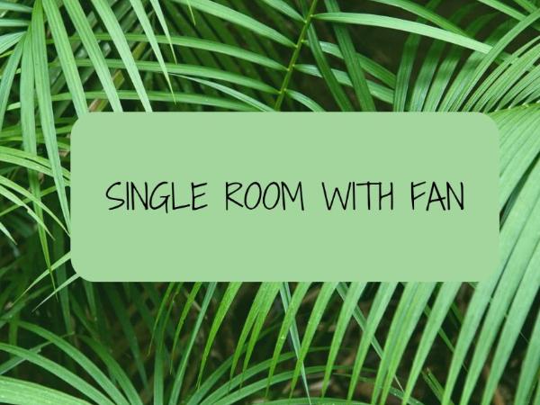 Laura's Backpacker 523 : photo 2 de la chambre chambre simple Économique