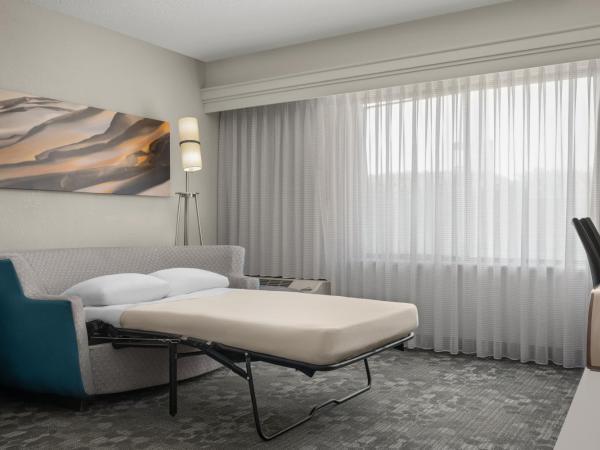 Courtyard Indianapolis Northwest : photo 1 de la chambre chambre lit king-size avec canapé-lit