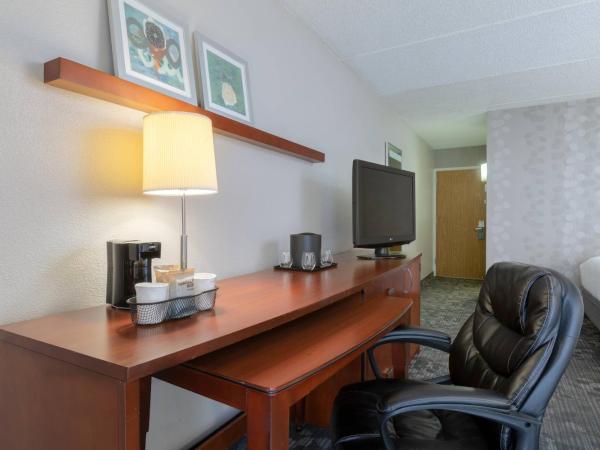 Courtyard by Marriott Atlanta Windy Hill/Ballpark : photo 3 de la chambre chambre lit king-size avec canapé-lit