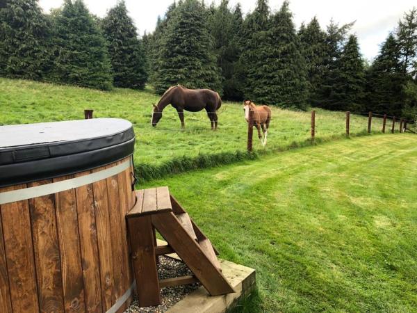 Willow Lodge : photo 10 de la chambre chambre double - vue sur jardin