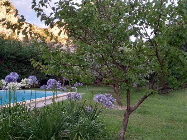 La roulotte du petit paradis : photo 8 de la chambre tente