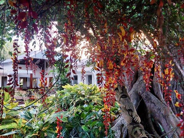 Tree Lodge Mauritius : photo 1 de la chambre maison 4 chambres