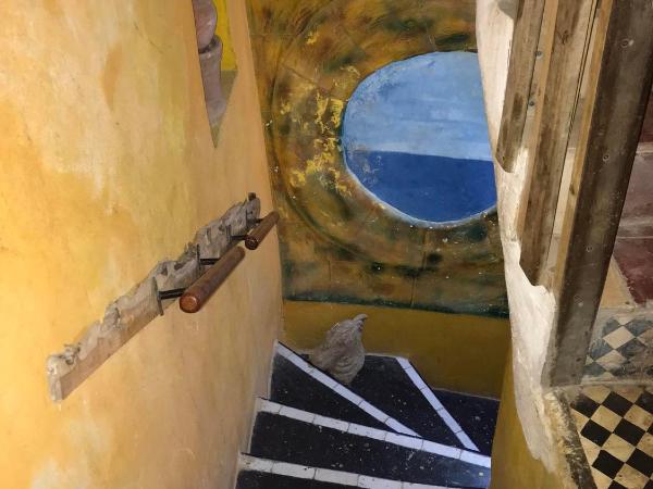 DAR CHBANATE : photo 3 de la chambre chambre double