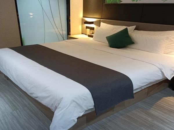 Thank Inn Plus Dongguan Dalingshan : photo 3 de la chambre youxin double room