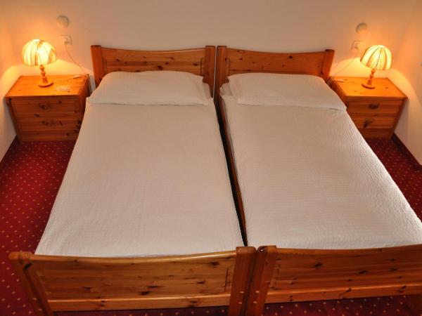 Hotel Silberhorn - Residences & Spa Wengen : photo 3 de la chambre chalet miravalle - appartement eiger