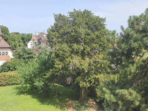 Le Faubourg 29 : photo 7 de la chambre chambre deluxe