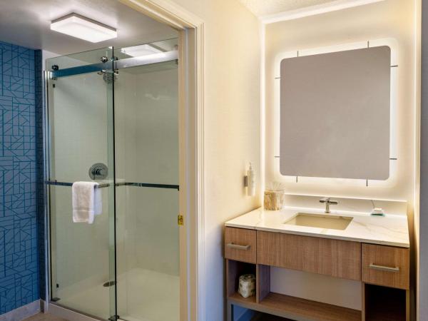 Homewood Suites by Hilton Atlanta Buckhead Pharr Road : photo 6 de la chambre suite 1 chambre lit king-size