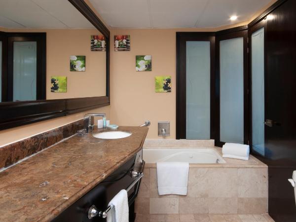 BelAir Unique Mexico City WTC, Trademark by Wyndham : photo 4 de la chambre suite