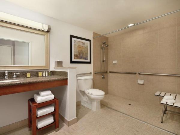 DoubleTree by Hilton Hotel Albuquerque : photo 4 de la chambre chambre lit queen-size avec douche accessible en fauteuil roulant - accessible aux personnes à mobilité réduite/non-fumeurs