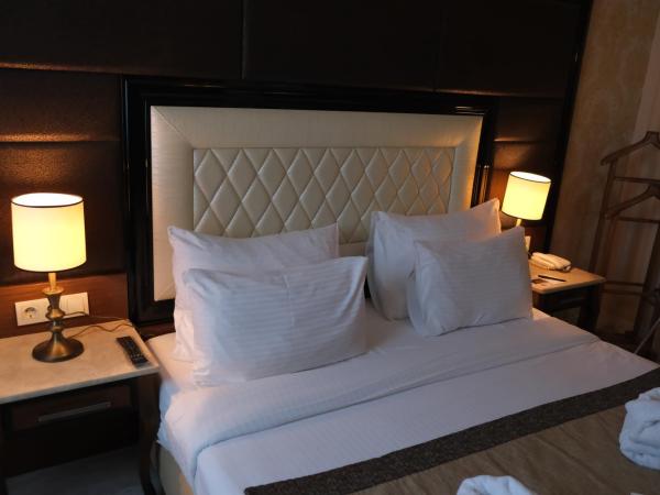 Asia City Hotel Istanbul : photo 1 de la chambre suite