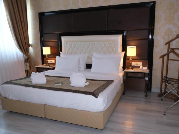 Asia City Hotel Istanbul : photo 3 de la chambre suite
