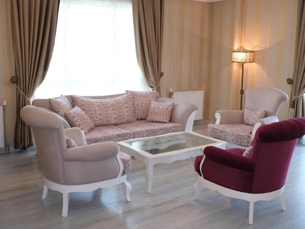 Asia City Hotel Istanbul : photo 8 de la chambre suite