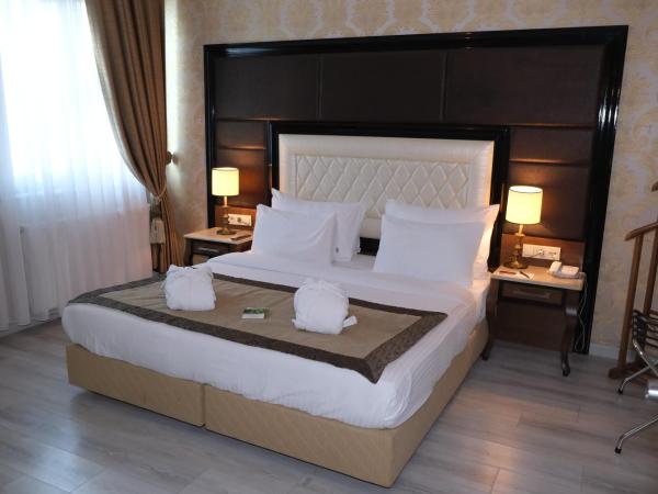 Asia City Hotel Istanbul : photo 9 de la chambre suite