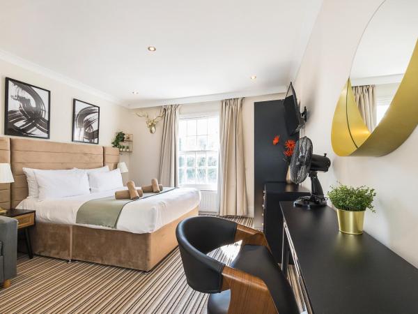 Verv Islington : photo 5 de la chambre studio avec canapé-lit