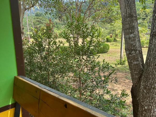 Fine Times Resort : photo 5 de la chambre bungalow familial