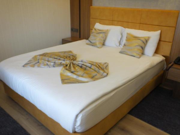 ANKUVA HOTEL : photo 4 de la chambre chambre simple